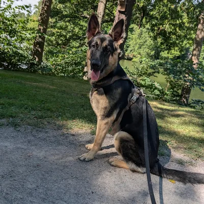 Foto av Ephie
